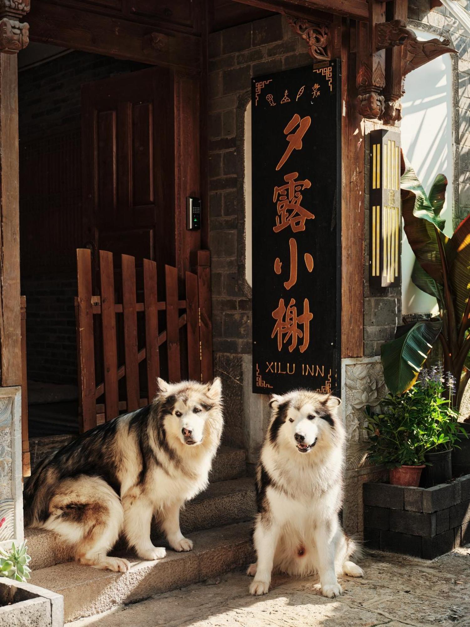 Xilu Xiaoxie Inn Old Town Lijiang Lijiang (Yunnan) Exterior foto
