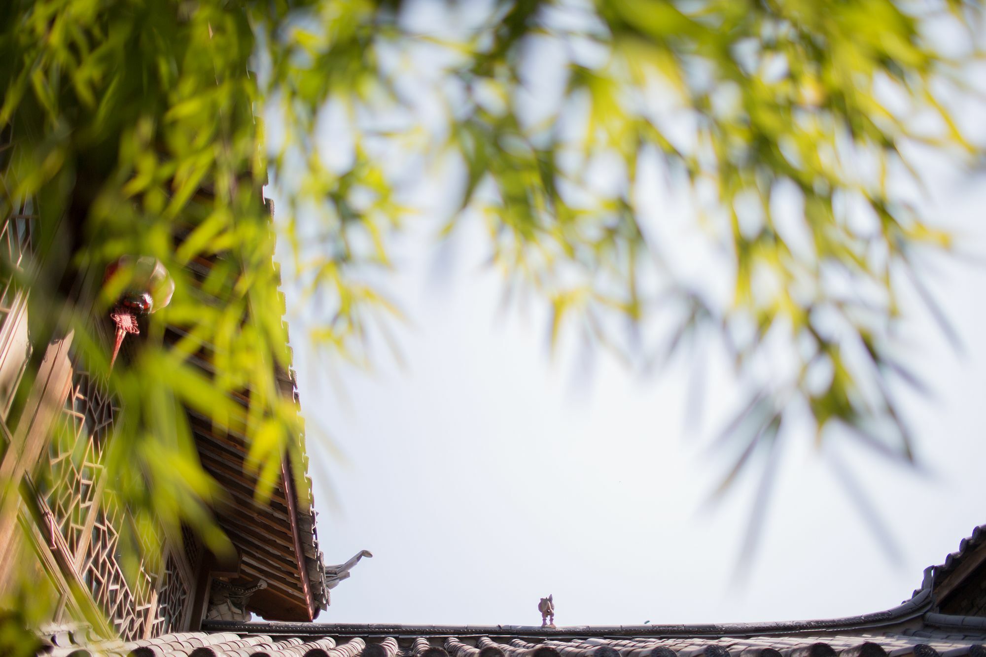 Xilu Xiaoxie Inn Old Town Lijiang Lijiang (Yunnan) Exterior foto