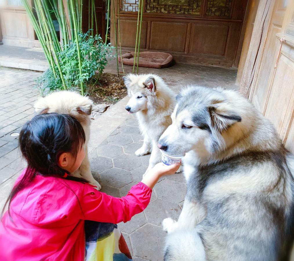 Xilu Xiaoxie Inn Old Town Lijiang Lijiang (Yunnan) Exterior foto